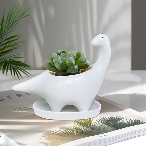 GeLive small 5-inch planter with clear dimensions for compact plants