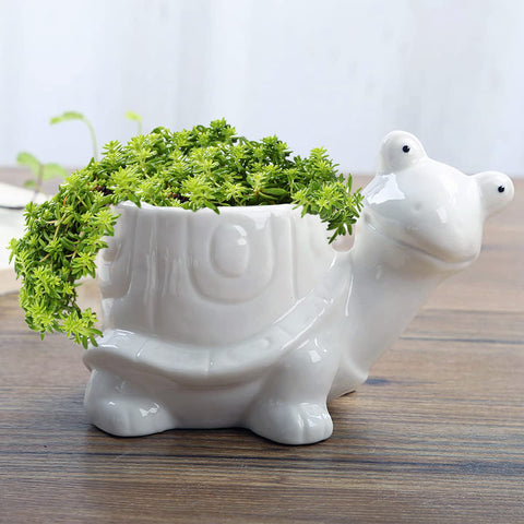 GeLive tortoise succulent planter on desk, ideal for small plants and charm