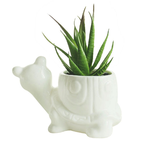 GeLive turtle planter with drain hole supports plant care