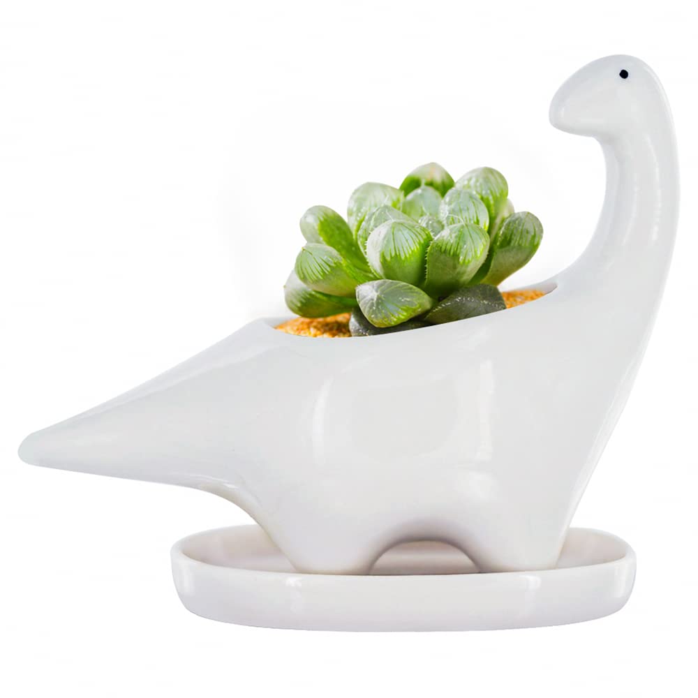 GeLive white dinosaur ceramic planter front view for small succulents