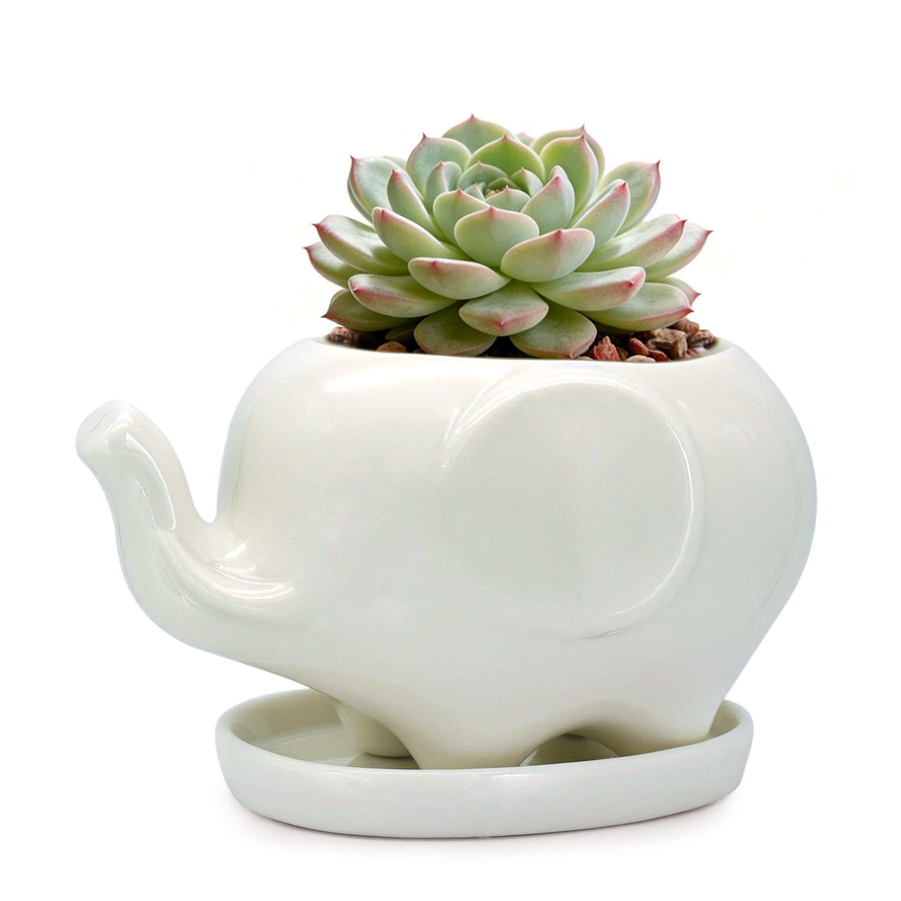 GeLive White Elephant succulent planter with durable ceramic body for bright desk decor