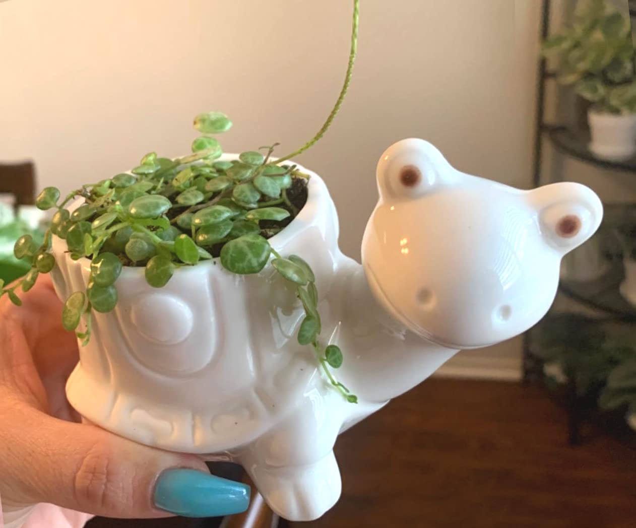 GeLive white turtle plant pot brightens windowsills and shelves
