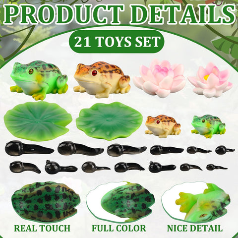Gemscream tadpoles enrich miniature aquatic scenes in ponds or tanks