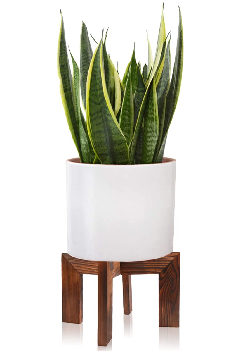 Gendral Forwepup wood plant stand top view highlights sturdy base for diverse pot sizes