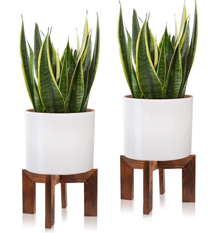 Gendral Forwepup wood plant stand top view shows versatile pot compatibility.