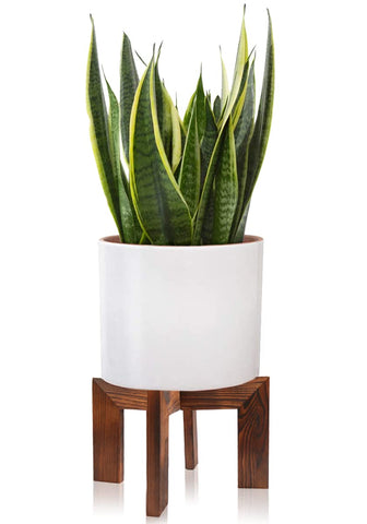 Gendral Forwepup wood plant stand top view highlights sturdy base for diverse pot sizes