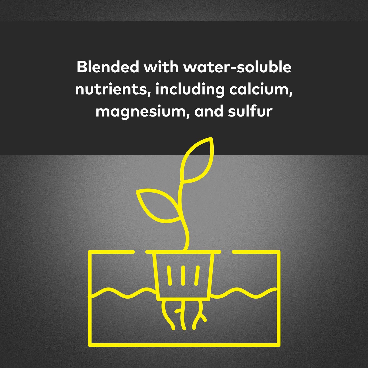 Close-up of MaxiGro label showing pH buffering and nutrients.