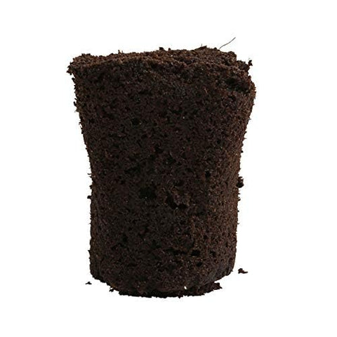 General Hydroponics Rapid Rooter root growth close-up highlighting micronutrient-enriched plugs for faster early rooting.