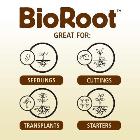 BioRoot cuttings propagation focus on strong root development.
