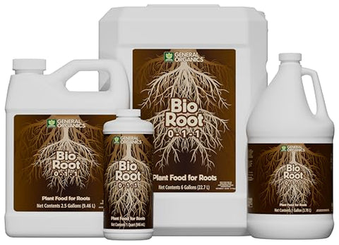 BioRoot seedling root growth closeup highlights healthy initiation.