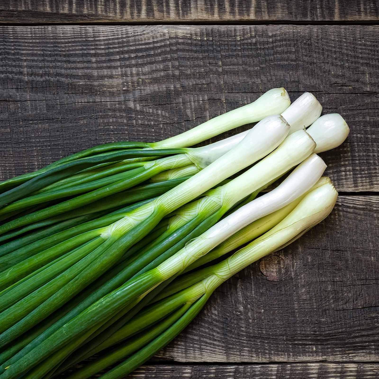 Generic 1000 Tokyo Long White Bunching Onion Seeds pack ready to plant for fresh greens.