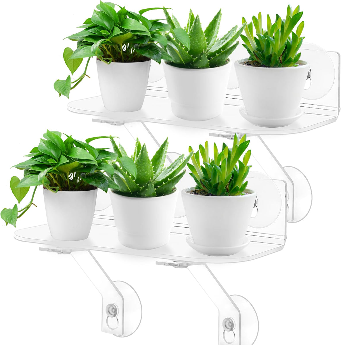 Generic 12-inch window shelf with suction cups for stable herb display.