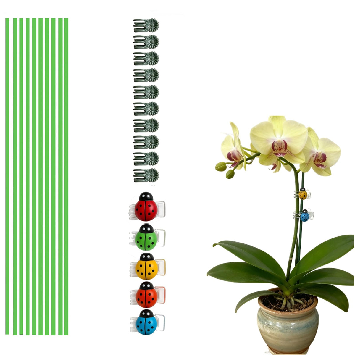 Generic 16.5 inch plant stakes in a garden support tall blooms for upright growth.