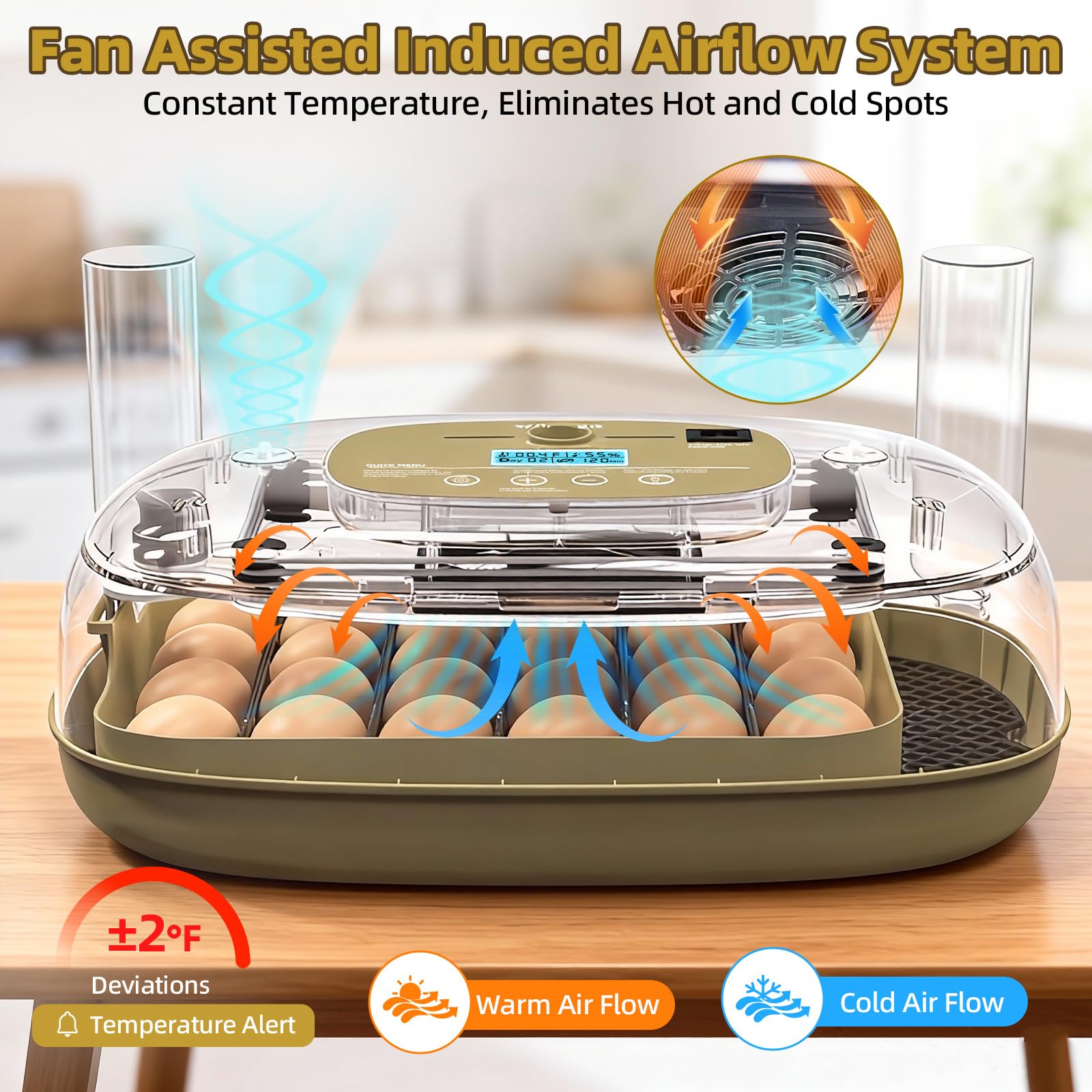 Generic 24-egg incubator shows automatic turning in action for even incubation.