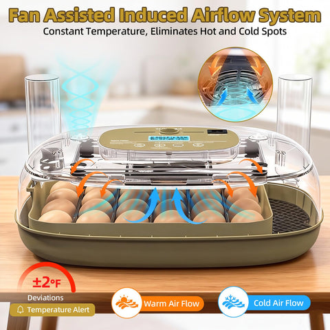 Generic 24-egg incubator shows automatic turning in action for even incubation.