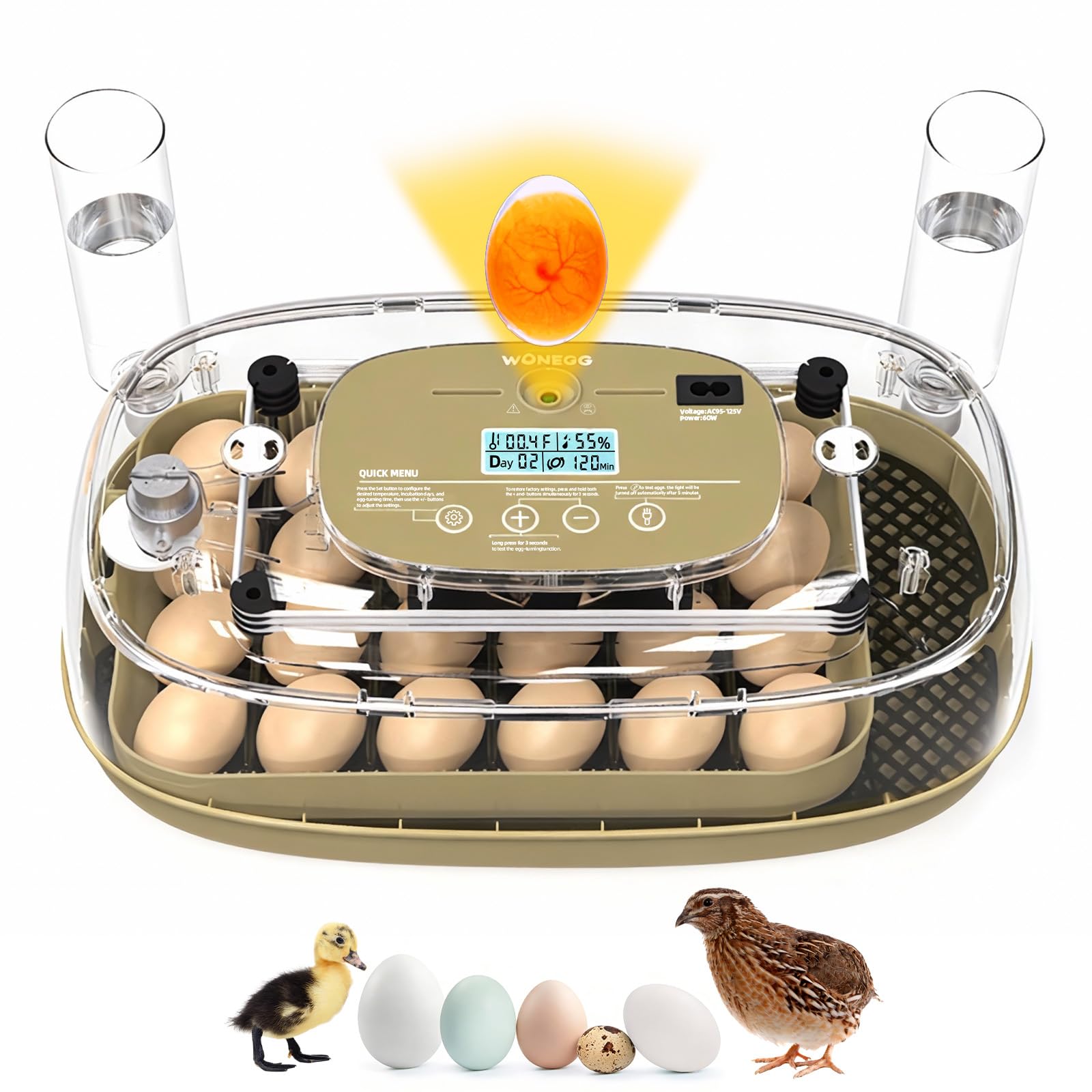 Generic 24-egg incubator front view with digital display for precise climate control.