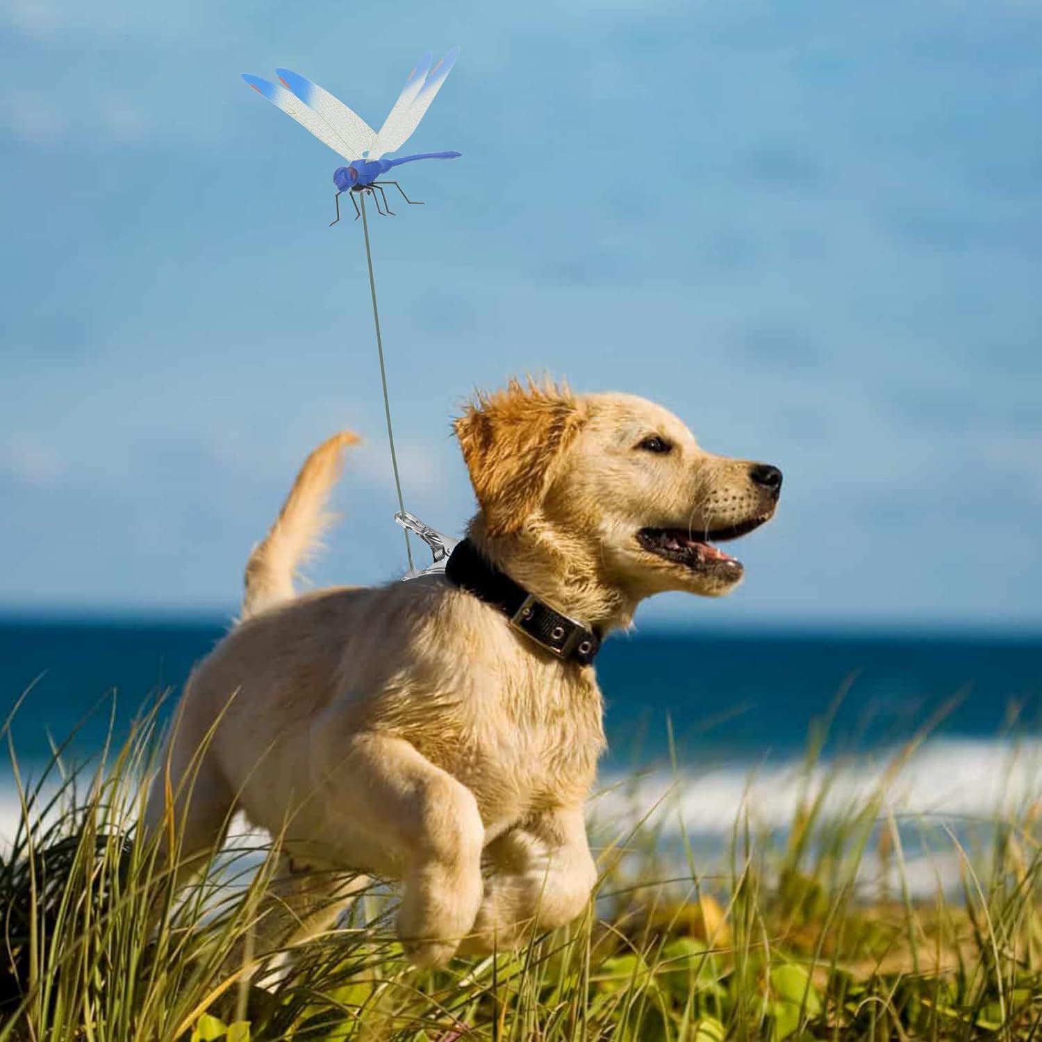 Generic 3D Dragonfly Clip on hat enhances style and repels pests