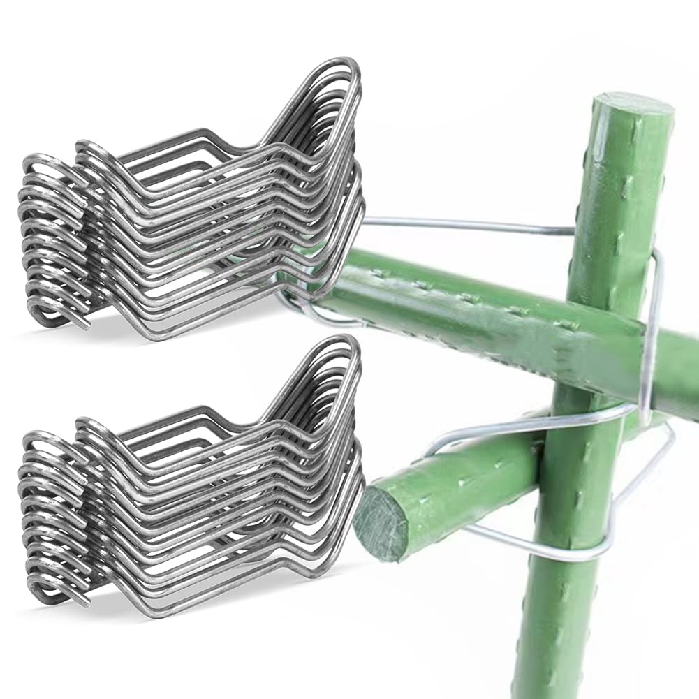 Generic stake clip on 8mm clamp provides sturdy climbing plant support