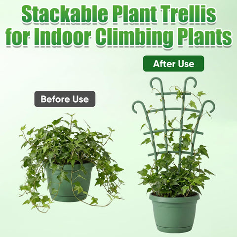 Generic 6Pcs Indoor Small Trellis stackable setup offers customizable width and height for growth.