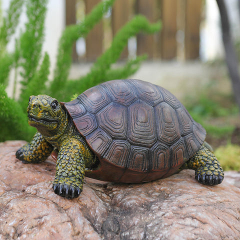 Generic all-weather turtle statue withstands wind, snow, and sun over seasons.