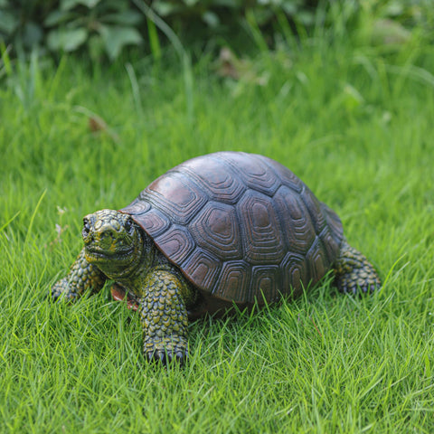 Generic artistic turtle figurine for exteriors creates personality in any courtyard.