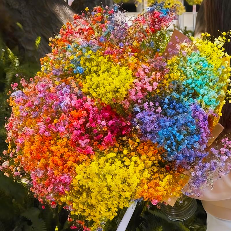 Generic Baby's Breath seeds for drying; blooms retain color and form.