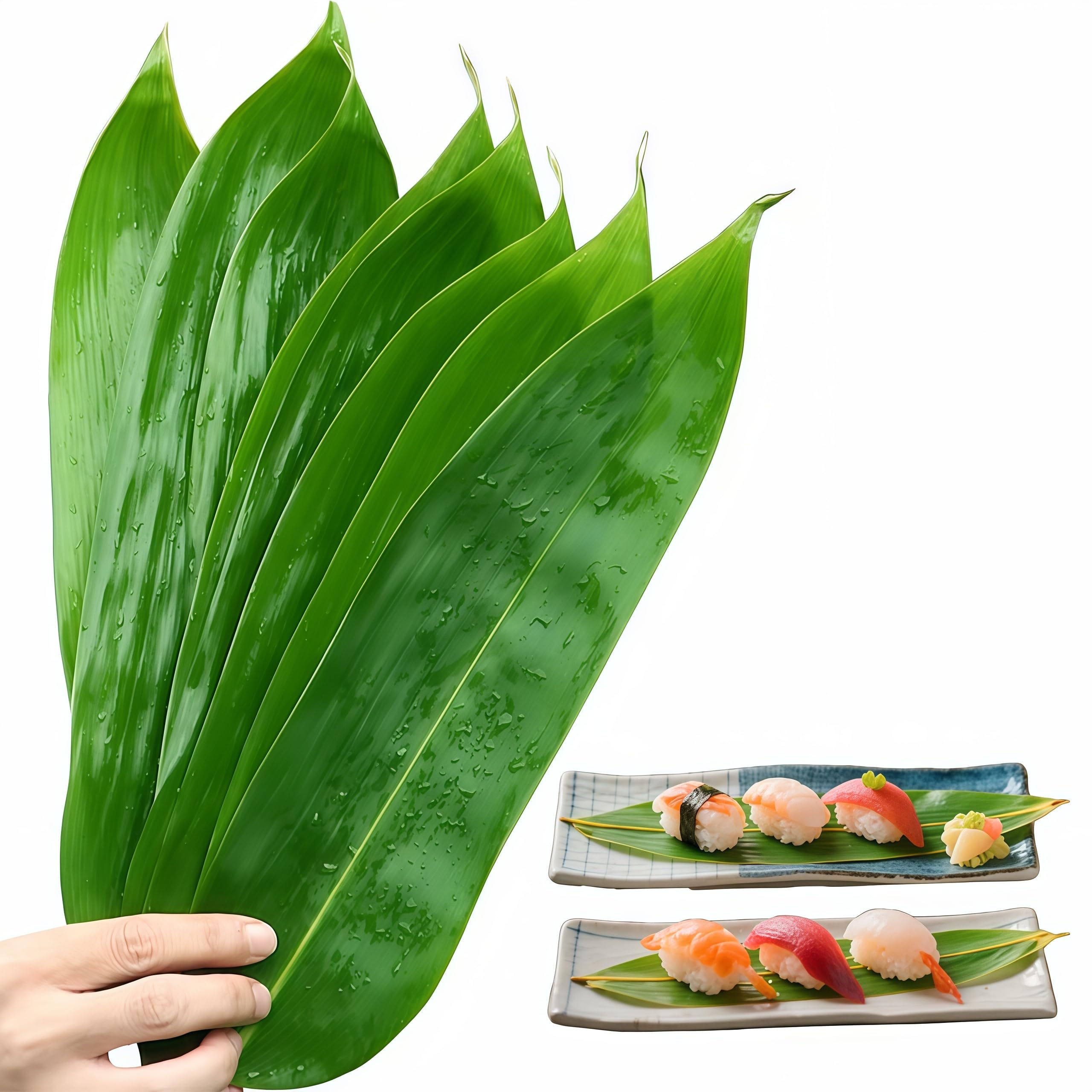 Generic banana leaves vacuum-packed for long-lasting freshness in cooking.