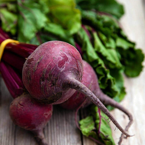1-ounce bulk pack of Detroit beet seeds for planting.