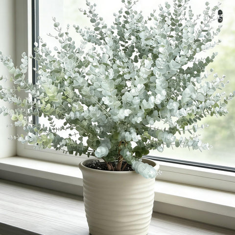 Generic Eucalyptus Cinerea seeds pack—quick start for ornamental landscaping.