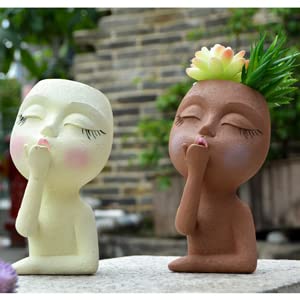 Generic Face Planter with succulent fits small spaces like desks.