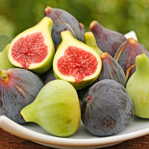 Generic fig fruit harvest closeup showing sweet, juicy figs.