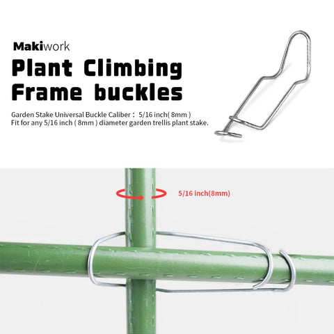 Generic galvanized steel clip anchors vines to a frame for stable growth