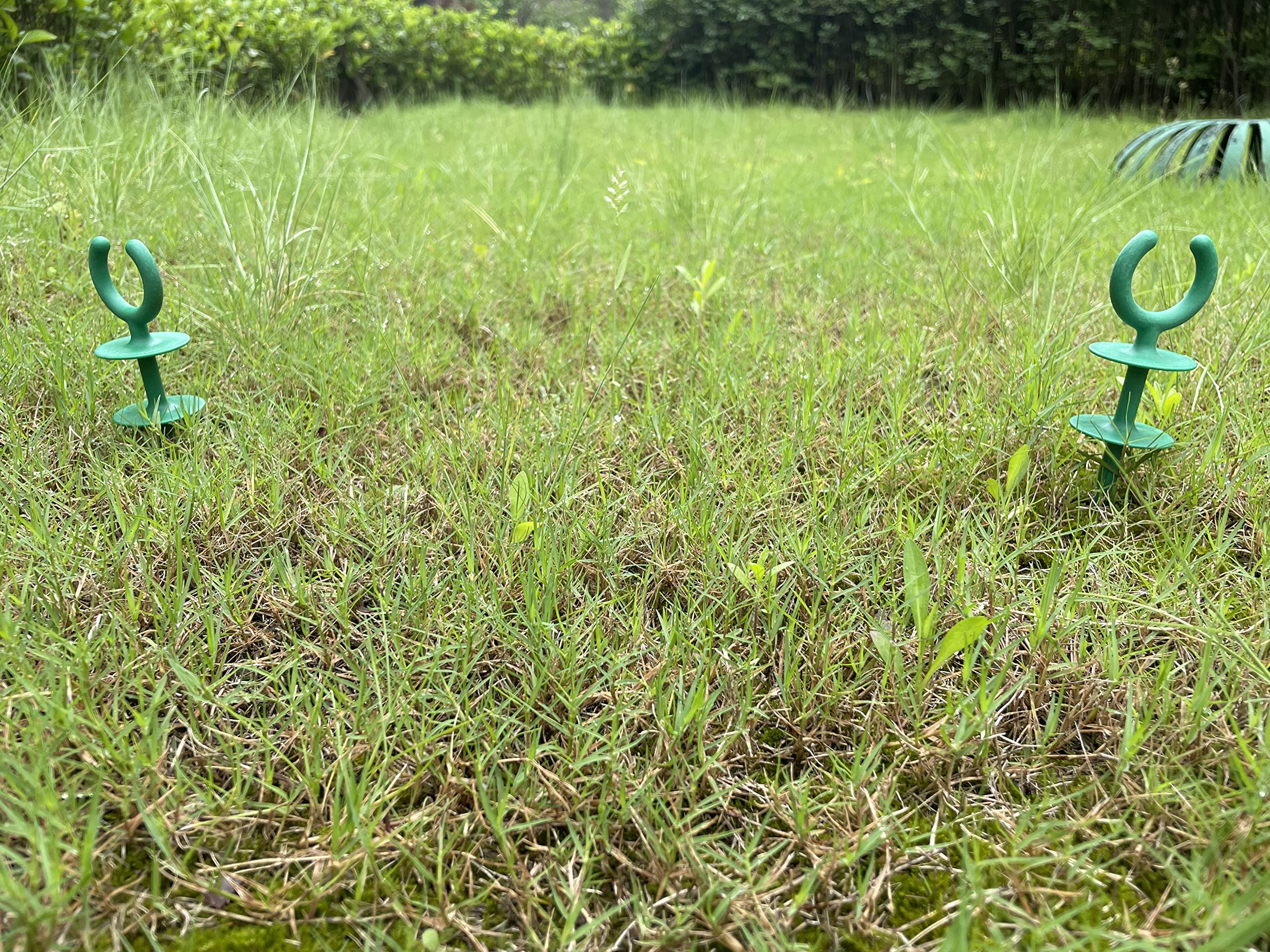 Generic garden hose guide holder nails protect plants from hose damage.