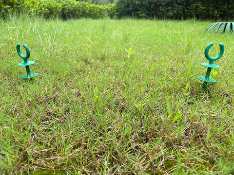 Generic garden hose guide holder nails protect plants from hose damage.