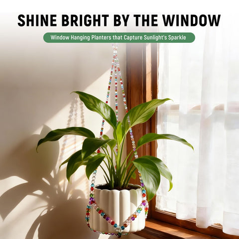 Glass bead hanging planter ideal for tanks, gardens, or hydroponics.