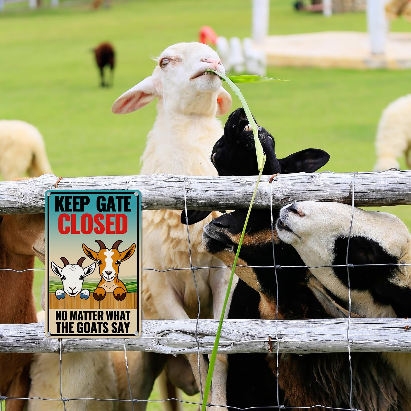 Generic Goat Sign Decor Bright colors improve visibility from a distance.