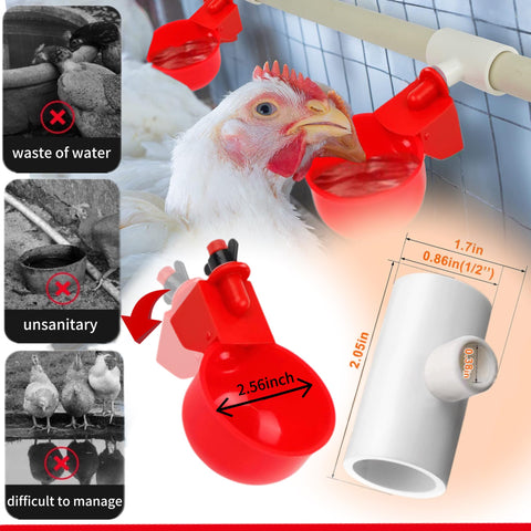 Generic gravity-fed poultry drinker in a backyard coop.
