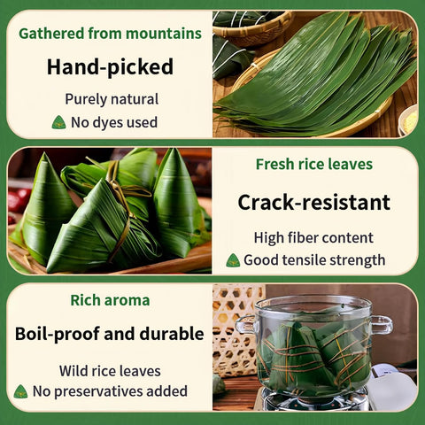 Generic leaves ideal for grill wraps and rustic cooking.