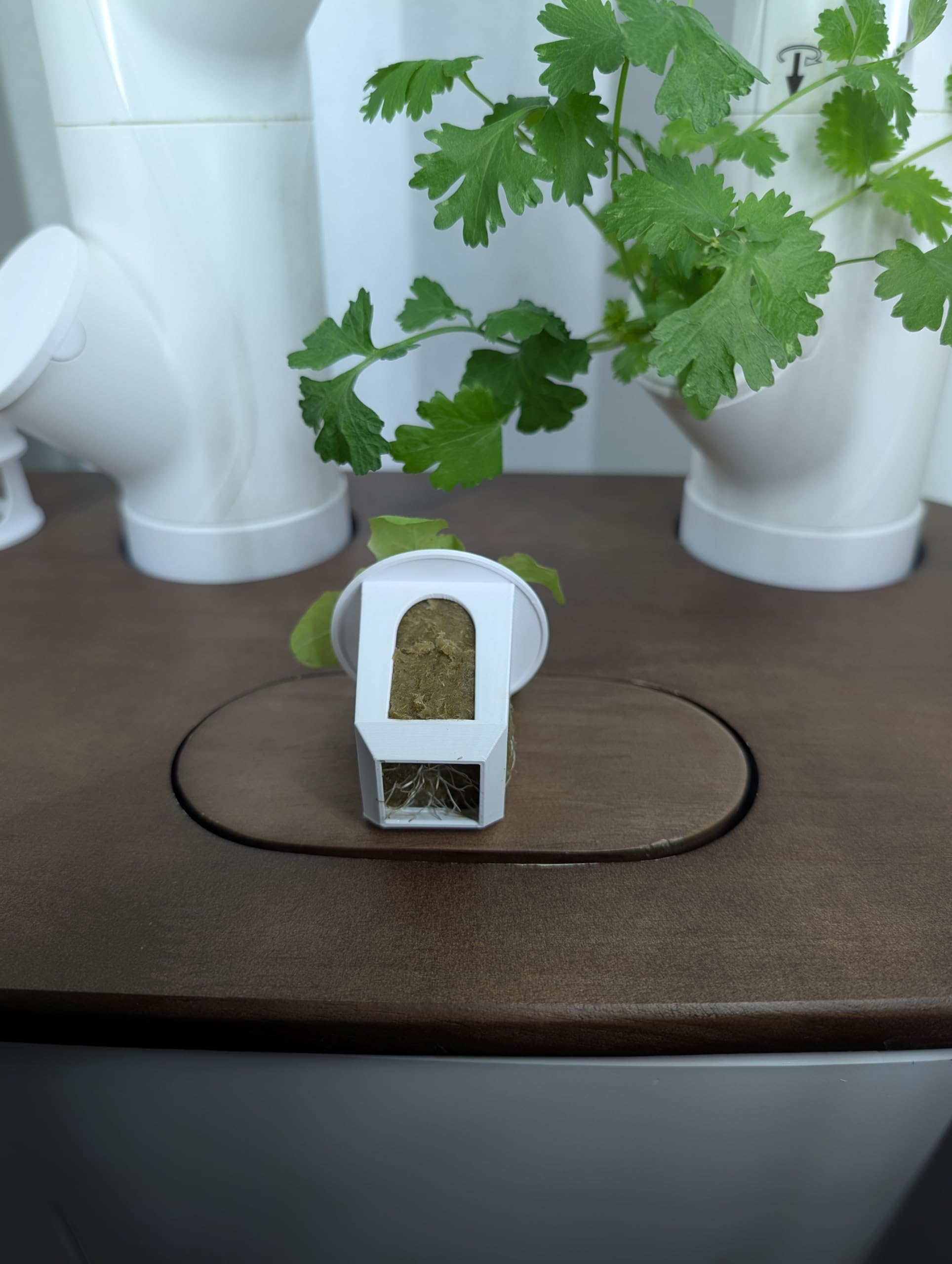 Generic Grow Cubes Easy-to-clean with warm soapy water.