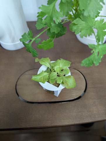 Generic Grow Cubes Plug-and-play with Gardyn systems.