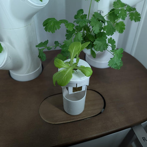 Generic Grow Cubes Rockwool-ready design supports media swaps.