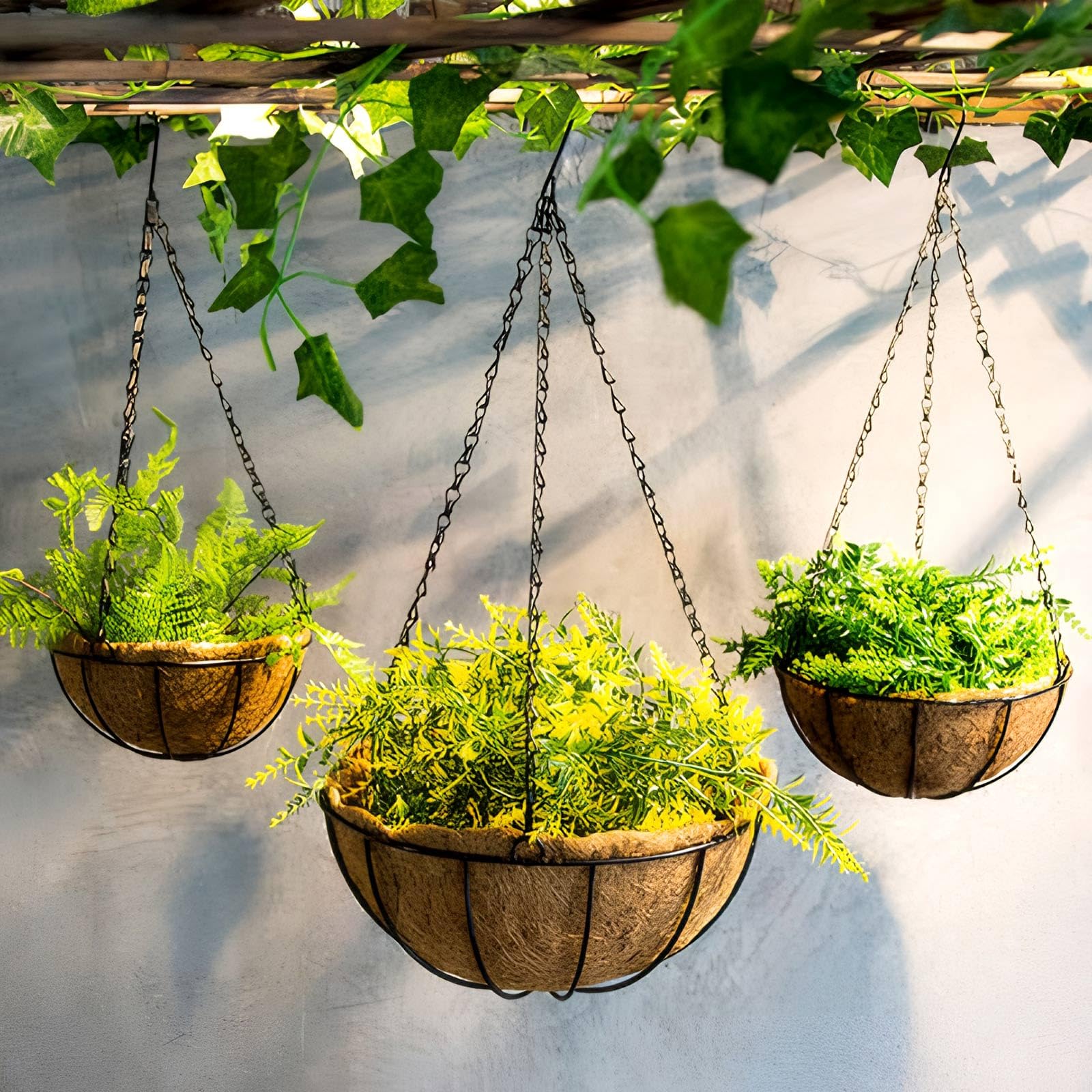Generic hanging chains outdoors endure sun and rain for year-round feeder or billboard displays.
