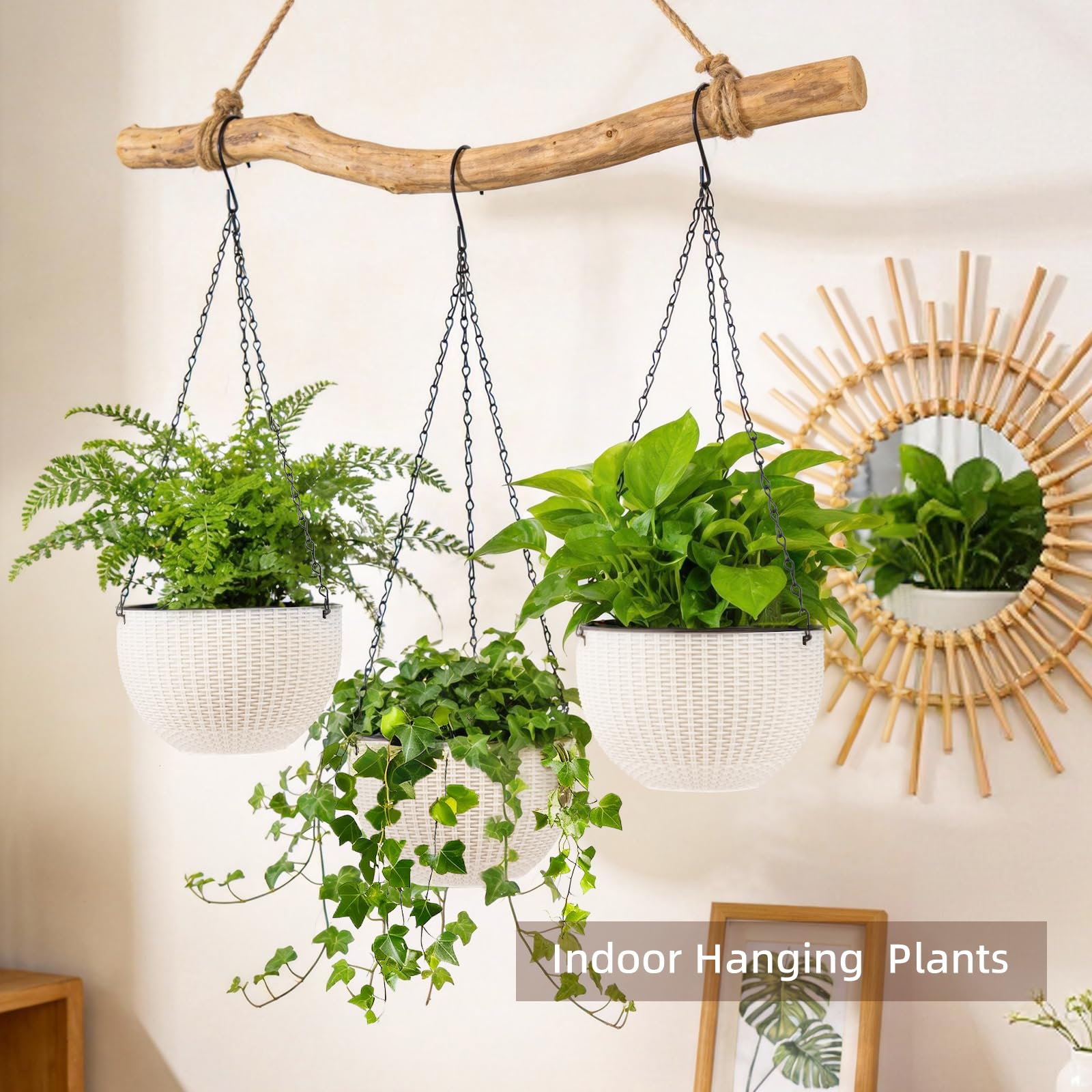 Generic hanging planter with hooks and slings enabling flexible indoor mounting.