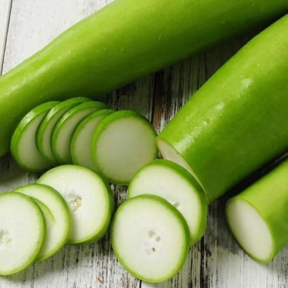 Generic Harvested bottle gourd ready to cook in fresh dish.
