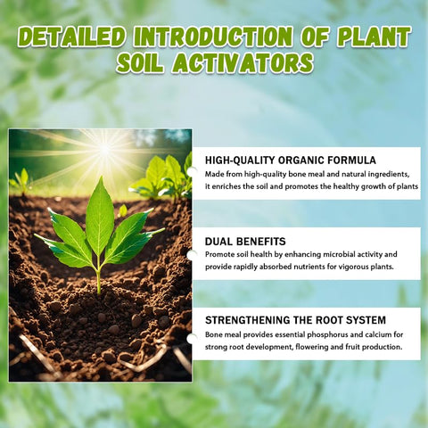 Generic Indoor Plants receiving fertilizer for stronger roots.