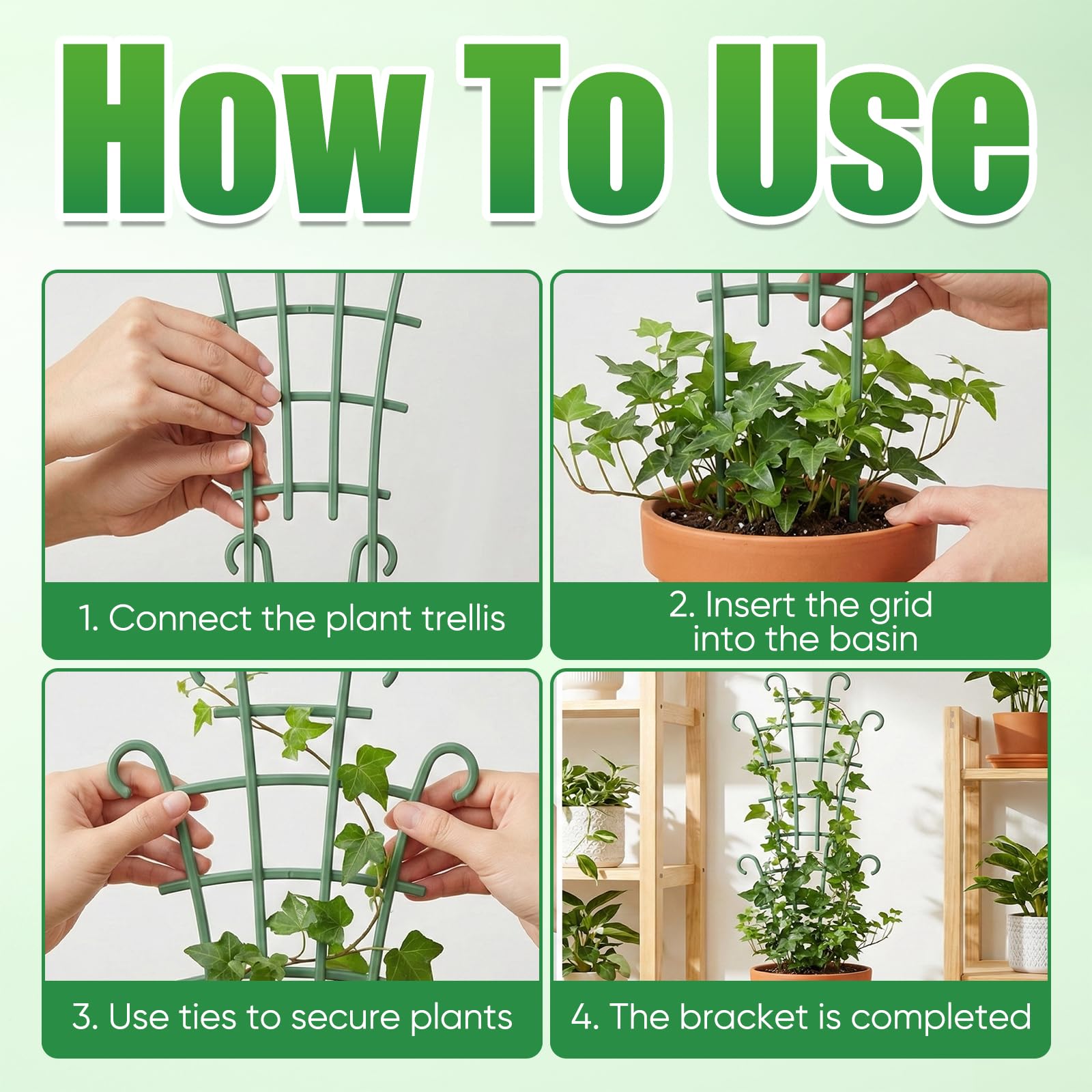 Generic trellis suitable for ivy hoya and pothos to organize climbing plants