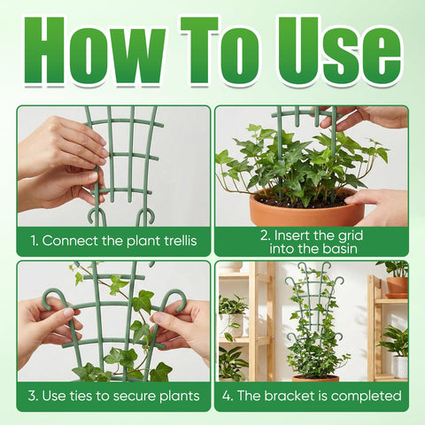 Generic trellis suitable for ivy hoya and pothos to organize climbing plants