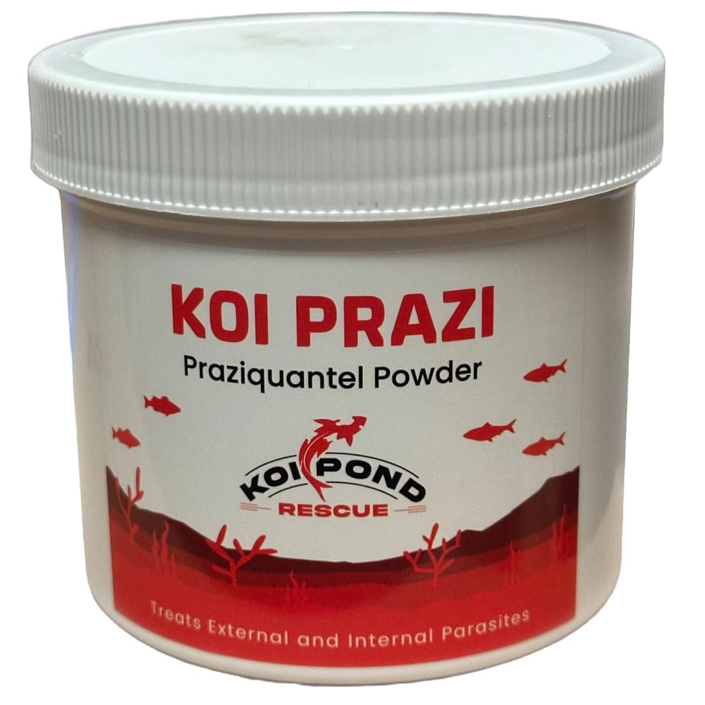 Generic Koi Prazi bottle of powder for parasite treatment in ponds