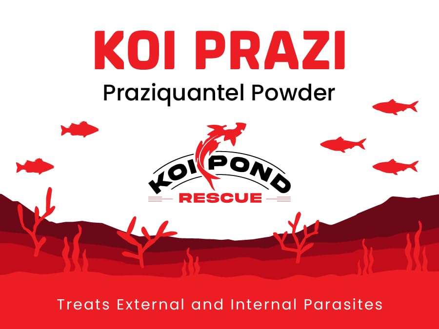 Generic Koi Prazi dosing scoop showing precise measurement for safe dosing