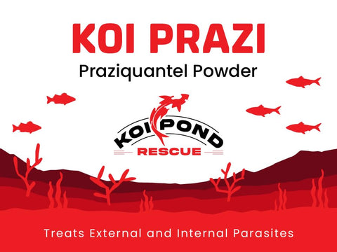 Generic Koi Prazi dosing scoop showing precise measurement for safe dosing